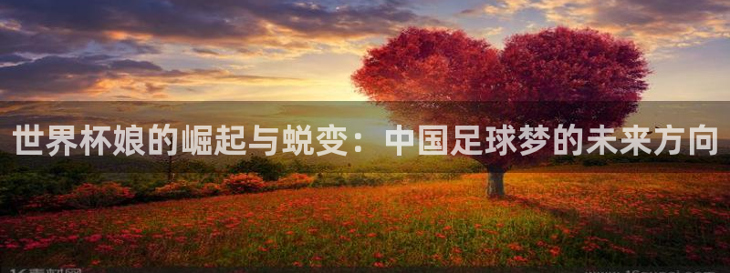 世界杯足球赛：世界杯娘的崛起与蜕变：中国足球梦的未来方向