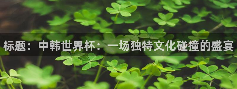 2026世界杯官网：标题：中韩世界杯：一场独特文化碰撞的盛宴