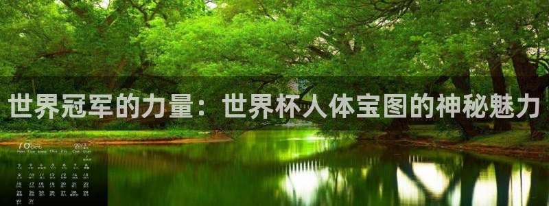 世界杯2026比赛时间表：世界冠军的力量：世界杯人体宝图的神秘魅力