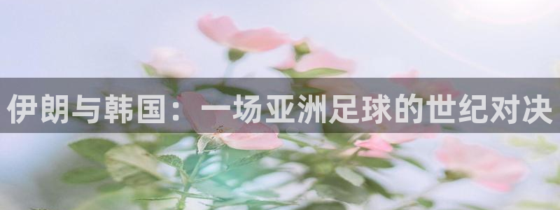 中国 世界杯：伊朗与韩国：一场亚洲足球的世纪对决