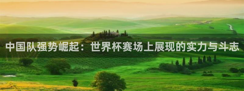 看世界杯：中国队强势崛起：世界杯赛场上展现的实力与斗志