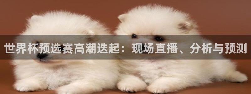亚洲区世界杯预选赛：世界杯预选赛高潮迭起：现场直播、分析与预测