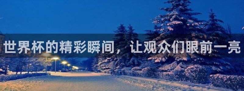 世界杯比赛赛程：世界杯的精彩瞬间，让观众们眼前一亮
