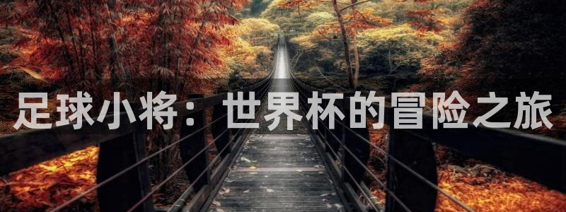 世界杯足球赛：足球小将：世界杯的冒险之旅