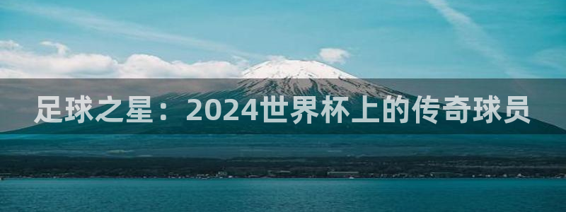 世界杯球赛：足球之星：2024世界杯上的传奇球员