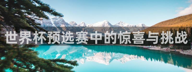 2026年世界杯赛程：世界杯预选赛中的惊喜与挑战
