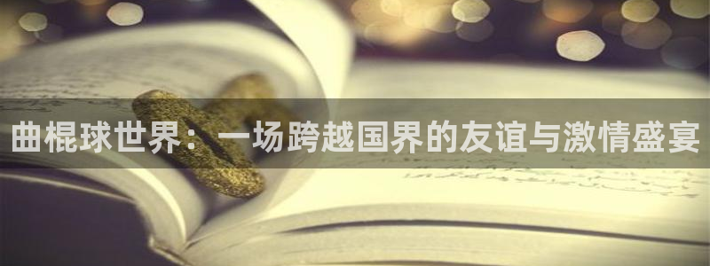 世界杯时间：曲棍球世界：一场跨越国界的友谊与激情盛宴