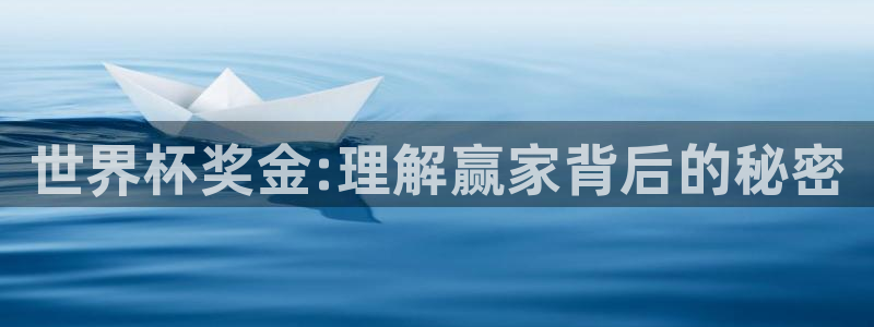 世界杯预选赛欧洲区赛程:世界杯奖金:理解赢家背后的秘密