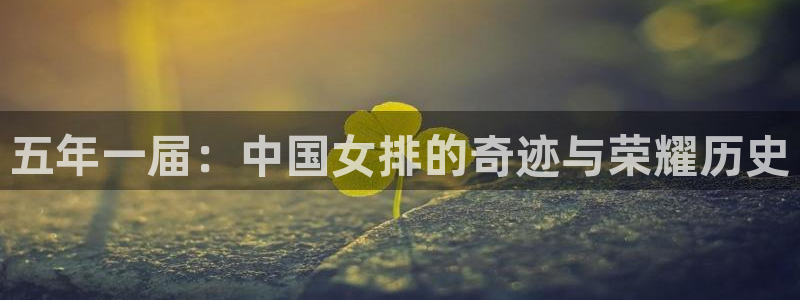 预选赛世界杯：五年一届：中国女排的奇迹与荣耀历史