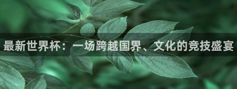 世界杯48支球队赛制：最新世界杯：一场跨越国界、文化的竞技盛宴