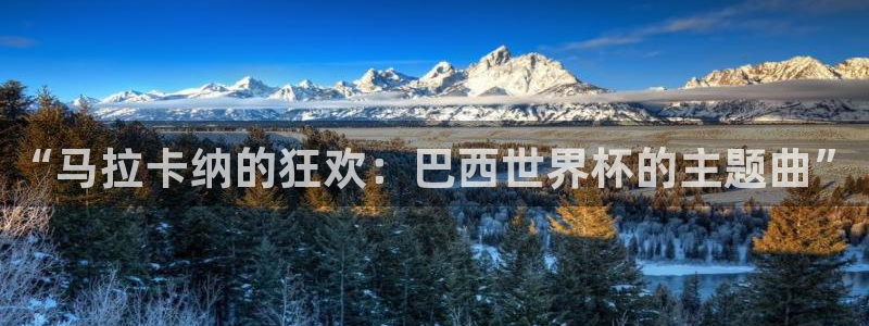 世界杯 中国：“马拉卡纳的狂欢：巴西世界杯的主题曲”